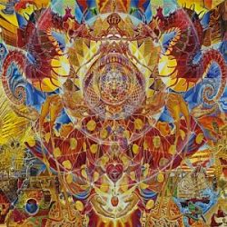 31.WhiteOrange-WhiteOrange