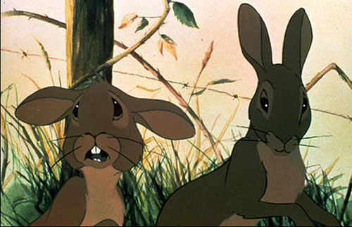watershipdown1