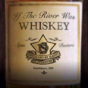 31. The Spin Doctors - If the River Was Whiskey